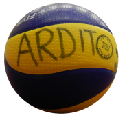 Volleybalvereniging Ardito